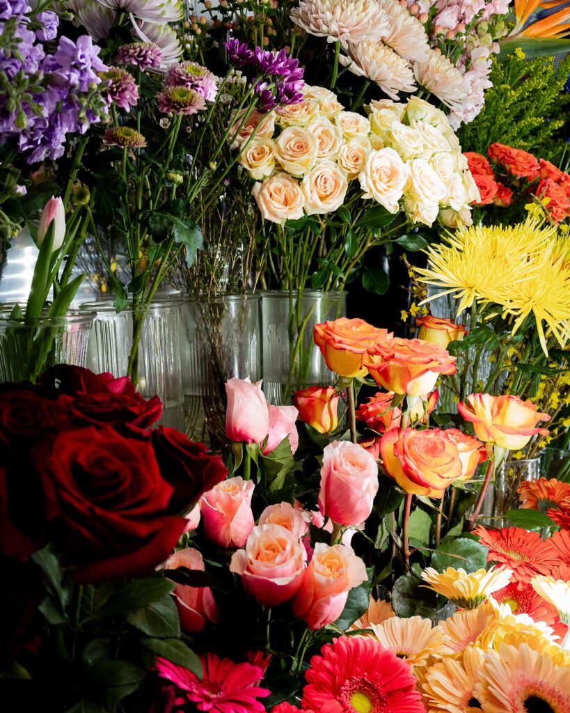 Crédit photos : Marie-Ève Joseph, studio Signifié/s