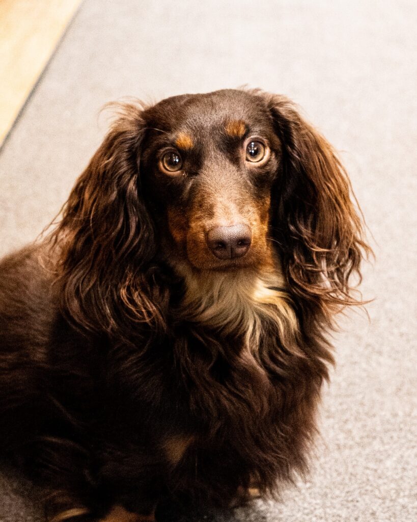 Crédit photos : Marie-Ève Joseph, studio Signifié/s